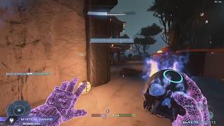 Halo Infinite - Oddball - Shogun (XBOX SERIES X)