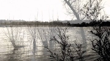 DJ Angelfish Sufferin Passion ( iMPC )