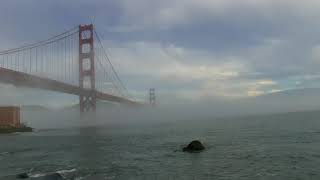 Foghorns on the Golden Gate Bridge Natural Sound 45mins