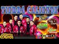 PURO Tierra Caliente || Los Remis; Toño y Freddy; Banda Cerritos; La Dinastia; Gerardo Díaz