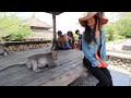 Monkey steals hat from chinese tourist in bali