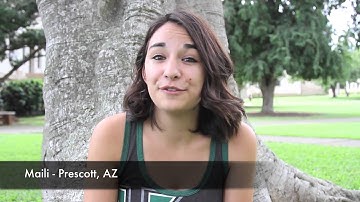 UH Manoa - My University