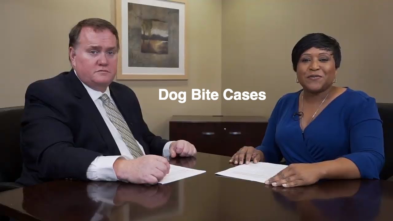 Information on Dog Bite Cases Personal Injury Attorney Illinois YouTube