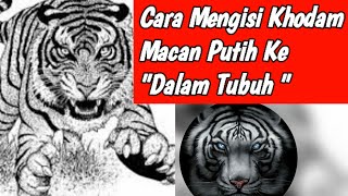 Cara Mengisi Khodam Macan Putih Dengan mudah Dan Cepat||Sinar Doa