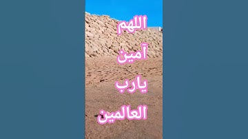 #القارئ #تيك_توك #المصحف #الرحمن #ترند #القزابري #لايك #يصلك #دعاء_في_دقيقة