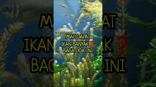 PASTI‼️DAPAT IKAN BANYAK #doamancing #shortvideo