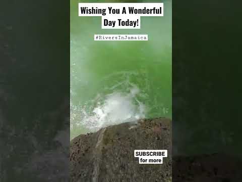 Wishing You A Wonderful Day #shorts #RiversInJamaica
