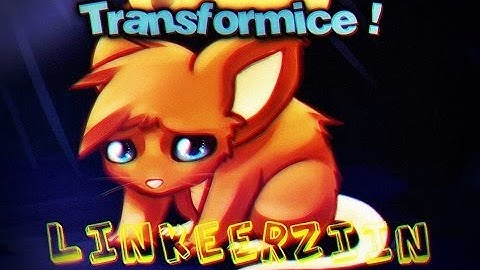 Transformice - Linkeerzin rumo aos de 40k