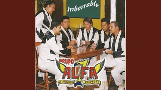 Video thumbnail of "Alfa 7 - Nunca Más Podré Olvidarte"