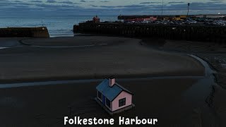 Folkestone Harbour - Low Tide & A Seal