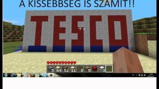 Minecraft Tesco!.avi