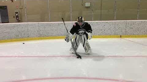 T Push with Puck Control #OSGoalie