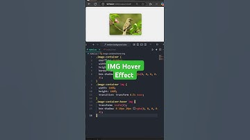 🔥Day 16 : IMG Hover Effect | CSS | 100 Days Challenge 🚀#coding  #100DaysOfCode #RamadanCoding #img