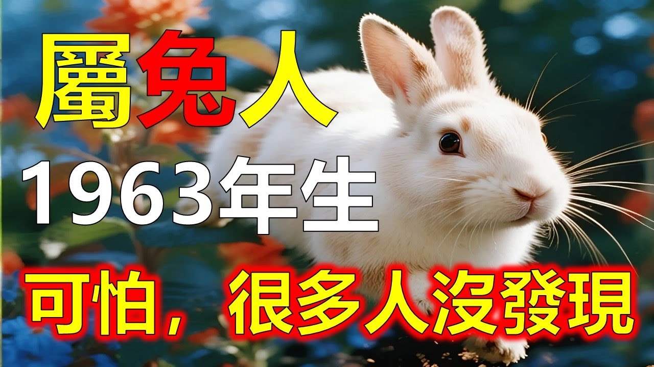1963年屬兔人，真正走進金兔命，未來十年金運全面開啟#2026兔#生肖兔#1963 兔