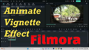 FILMORA | How To Add And Animate Vignette Effect In Filmora Wondershare | Let`s Do Tech
