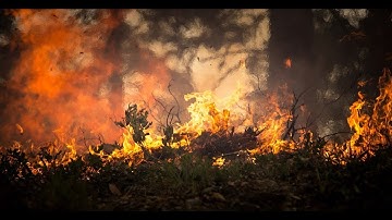 【Ziyan UAV】ForestFire prevention manoeuvre and regional monitoring inspections