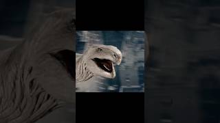 Its A Bird Its A Plane  Its Wtf 80s 80smovies specialeffects
