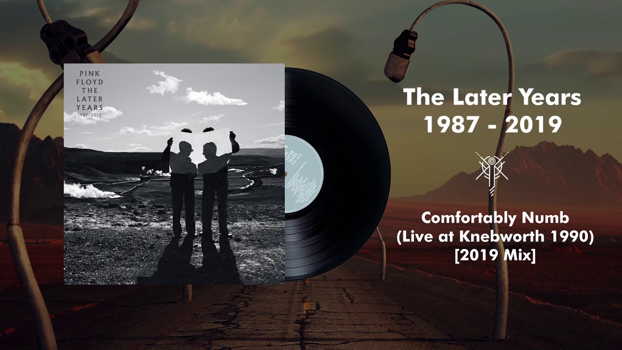 Pink Floyd Comfortably Numb Live At Knebworth 1990 2019 Mix