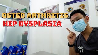 OSTEOARTHRITIS + HIP DYSPLASIA 🦴 in dogs by Doc Gelo TV 10,713 views 2 years ago 28 minutes