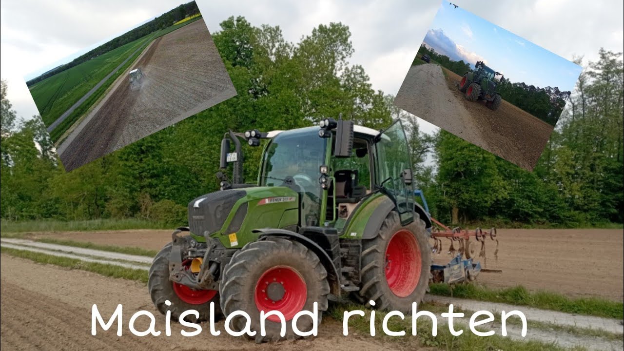 Maisland richten‼️|Kreiseln mit Fendt 313 Vario und Rabewerk Kreiselegge💯🔥😍