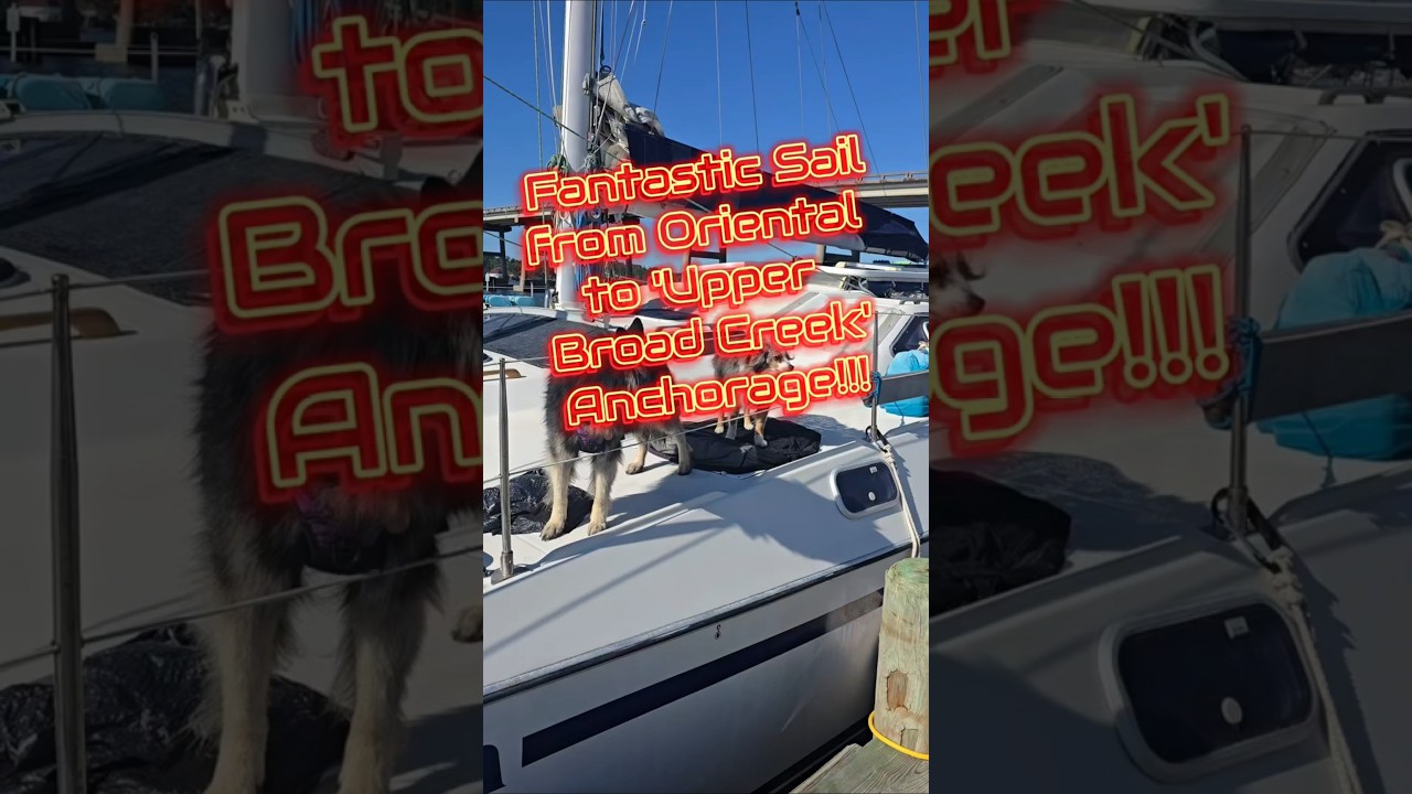 ⁣22 mile sail from Oriental,  NC to Upper Broad creek!