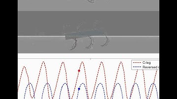Legged Robot Running on Granular Media - Simulation