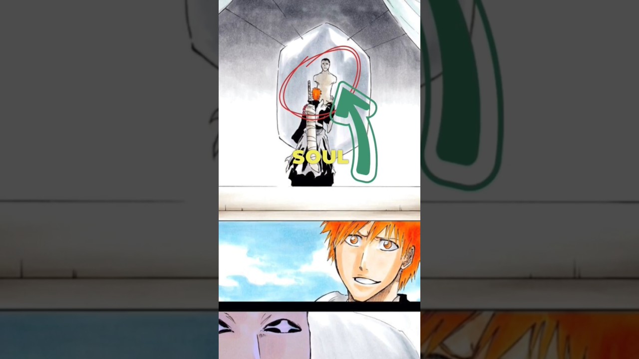 The True Purpose Of Soul King 😰 #bleach #tybw