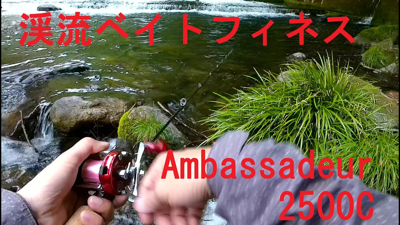 【ABU Ambassadeur 2500C】渓流ベイトフィネス　今シーズン初めての渓流でイワナが釣れました！