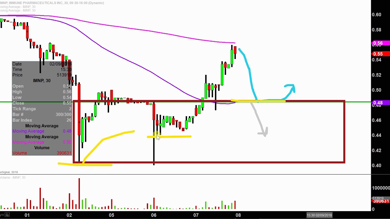 Imnp Stock Chart