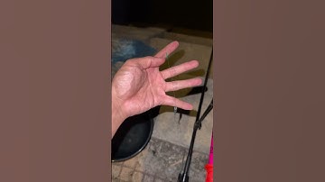 HƯỚNG DẪN CHƠI PHAO HỐ ĐẤU TỰ CÂN | DÀNH CHO NGƯỜI MỚI?