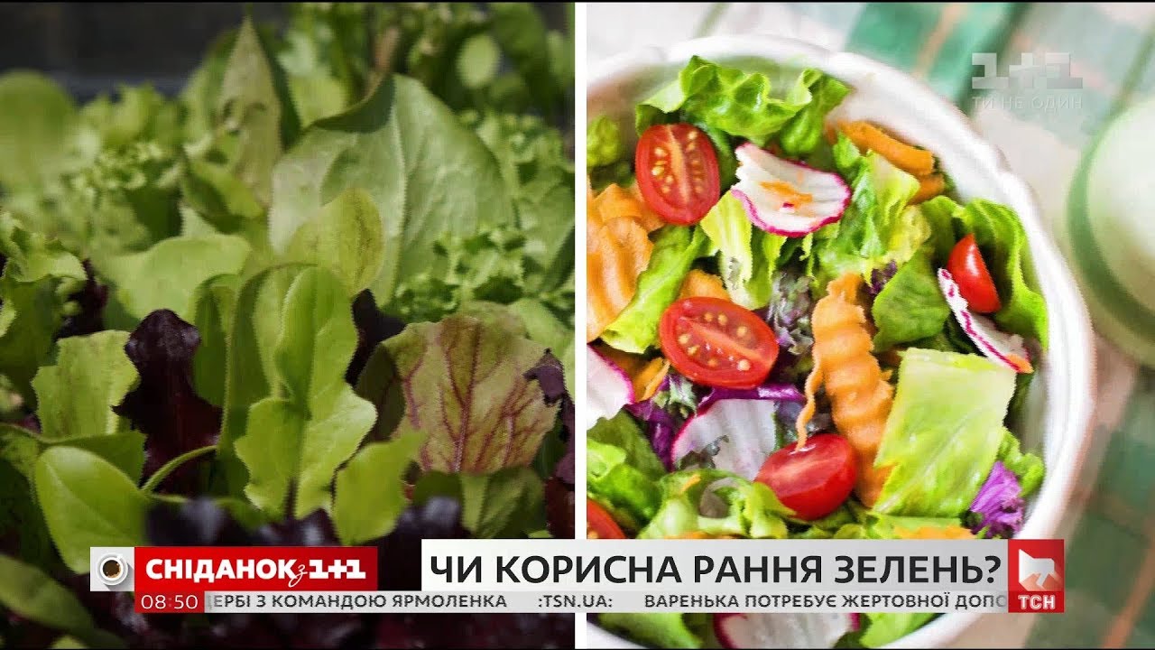 Чи корисна рання зелень - експерт Лора Філіппова