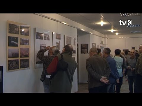 Video: Kosmički poliedri: neobične rezbarene čelične skulpture