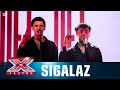 Sigalaz synger ’Højhus’ – Statisk (Liveshow 6) | X Factor 2023 | TV 2