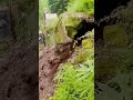 Unbelievable Excavator Skill! #shorts