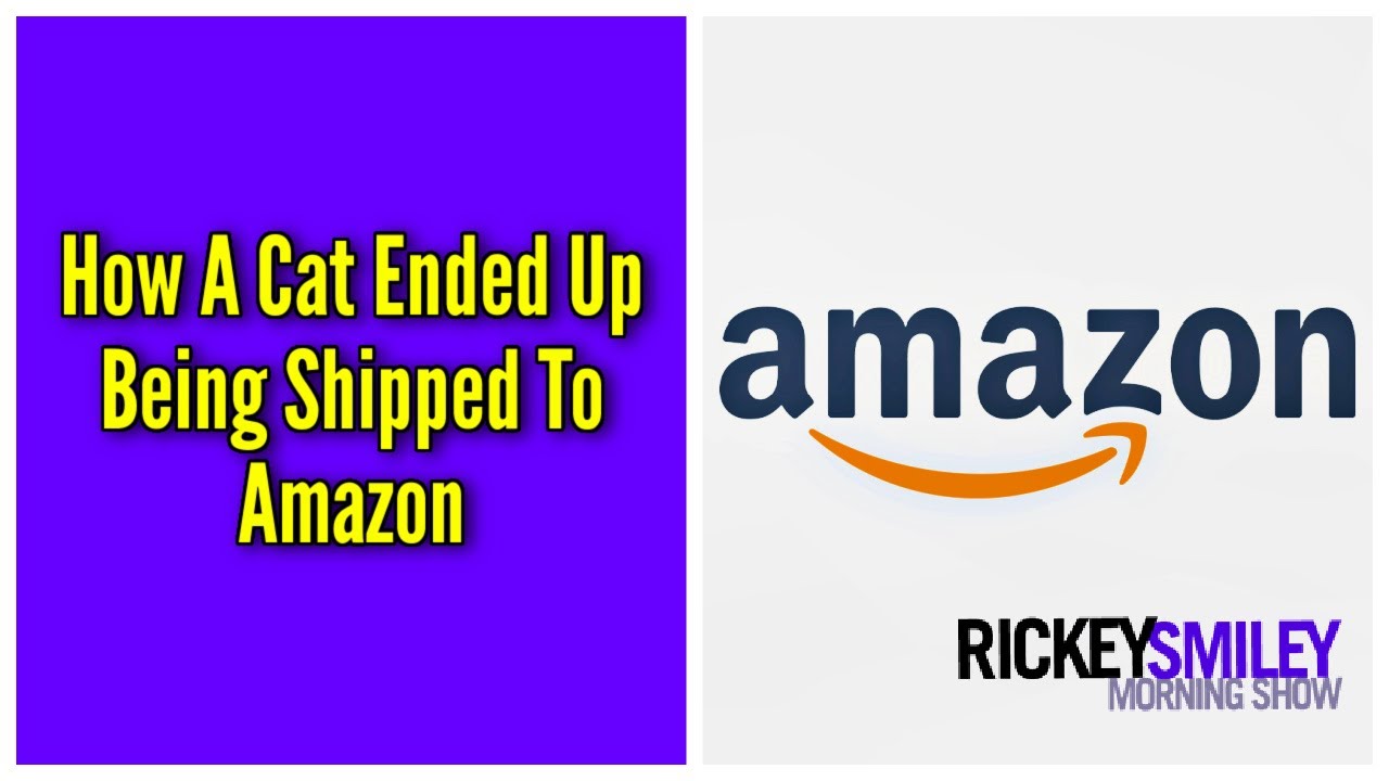 How A Cat Ended Up Being Shipped To Amazon