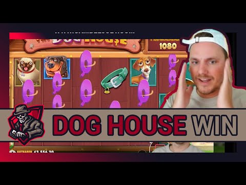 Dog House Klassiker auf 20er ! ? | Wir gehen rein! ? | Casino Highlights
