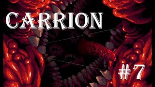 Nichts für Vegetarier - Carrion Gameplay Deutsch #7