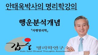 깁슬명리학  행운분석-운의 개념