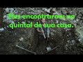 As descobertas mais incríveis feitas no quintal de casas.