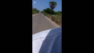 Kibwagizo Arts Live Stream