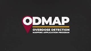 ODMAP Overview Explainer