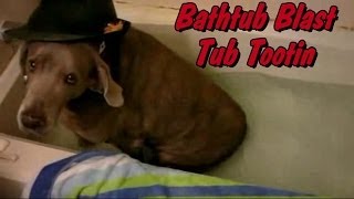 Bathtub Blast Fart Tootin In The Tub Dont Try This At Home