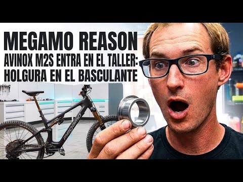 Megamo Reason Avinox M2S ¿Holgura basculante?