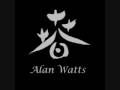 Alan Watts on conforming to society