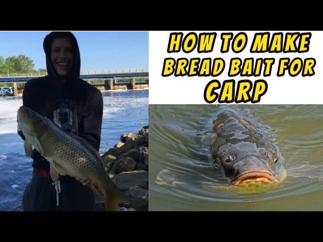 How To Make Bread Bait for Carp 