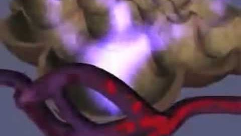 Fluid Mechanics in Biomedical Engineering