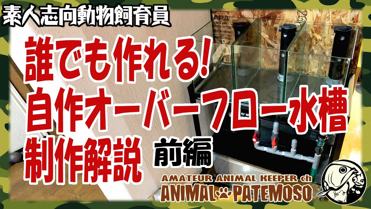 誰でも作れる自作オーバーフロー水槽制作解説 前編 Diy アクアリウム Youtube