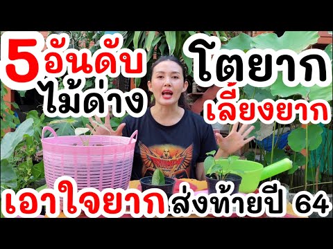 ผลสลากกินแบ่งรัฐบาล วันที่ 1 พย. 2567