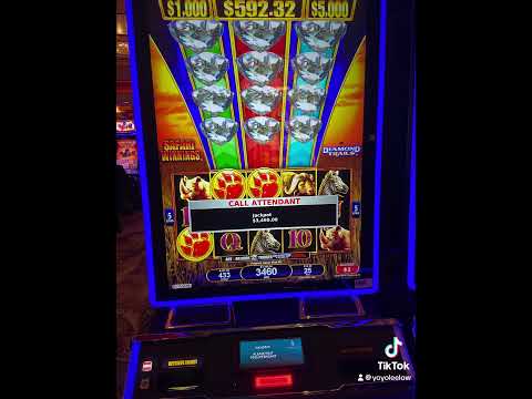 Free play! #doubledownmadness #blackjack #casino #lasvegas #gambling