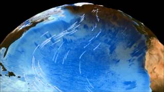 APES Atlee and Medina Thermohaline Circulation